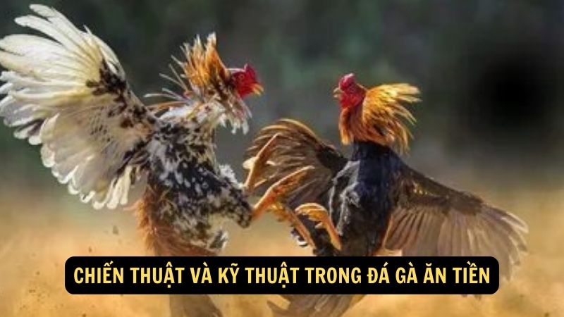 Chiến thuật và kỹ thuật trong đá gà ăn tiền