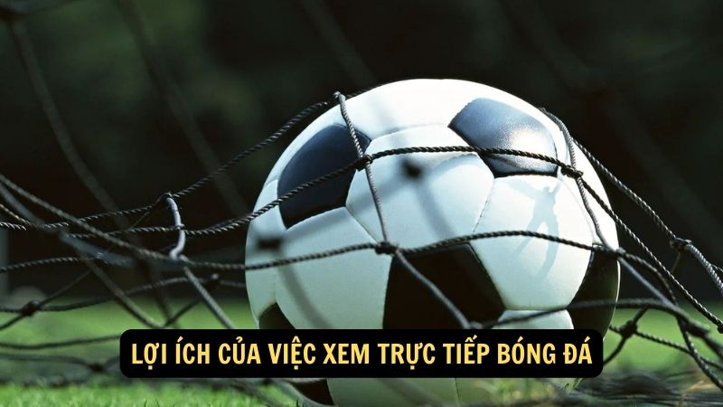 Lợi ích của việc xem trực tiếp bóng đá