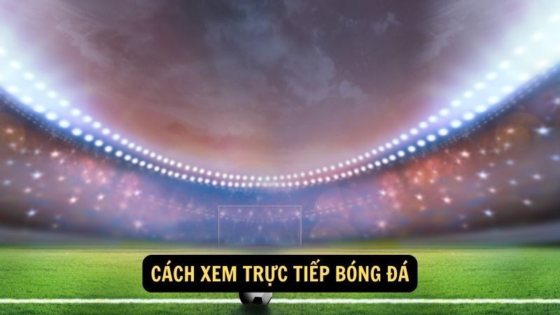 Cách xem trực tiếp bóng đá