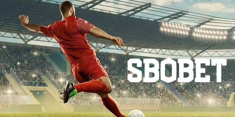 sbobet sport