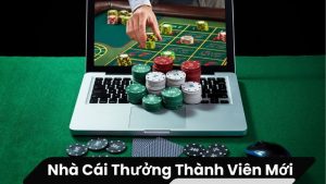 nha cai thuong thanh vien moi