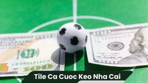 tile ca cuoc keo nha cai